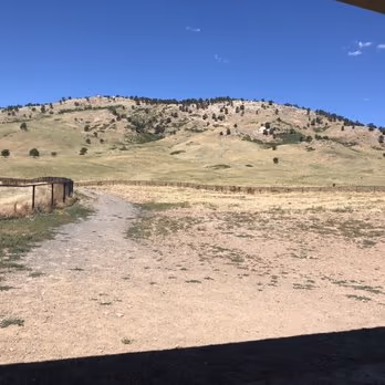Foothills Dog Park photo 2